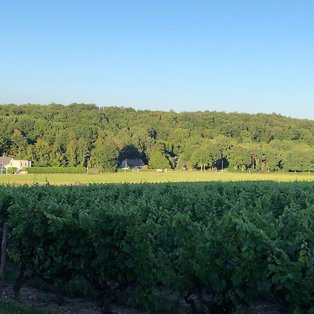 Gite De La Fontaine Bondree Vernou-sur-Brenne Екстер'єр фото