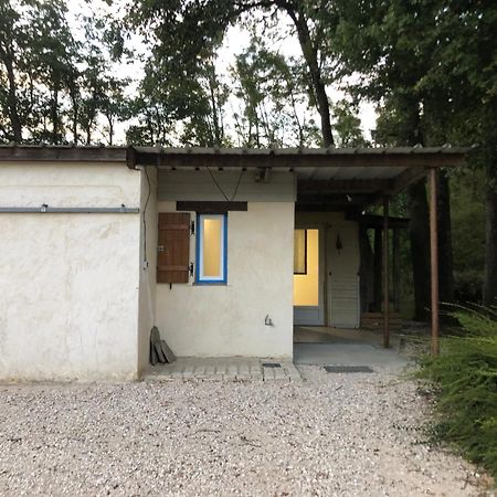 Gite De La Fontaine Bondree Vernou-sur-Brenne Екстер'єр фото