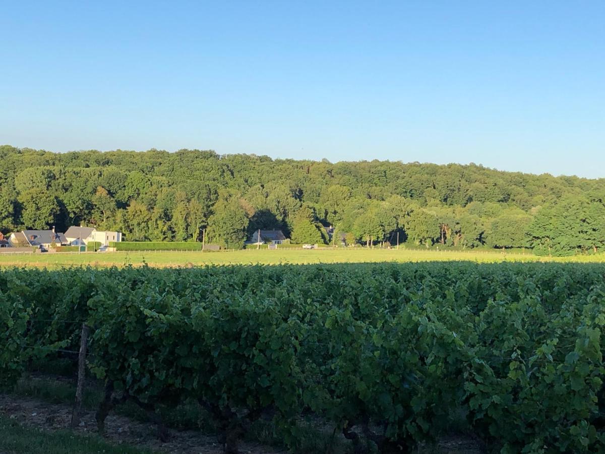 Gite De La Fontaine Bondree Vernou-sur-Brenne Екстер'єр фото